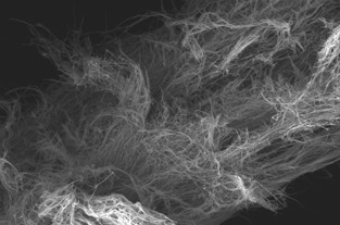 Advanced Materials and Manufacturing for Accelerators and Fusion