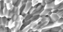 Heat Treatment Optimization on Nb3Sn Strands Based on Electrical and Physical Properties