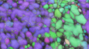 Development and Characterisation of Advanced Coatings for High Energy Physics Applications